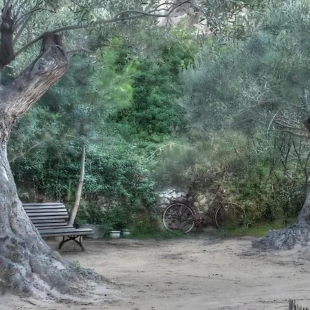 El Molino Del Gallo